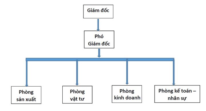 Cơ cấu tổ chức